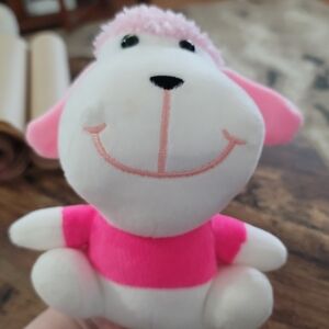 Pink Poodle Plush